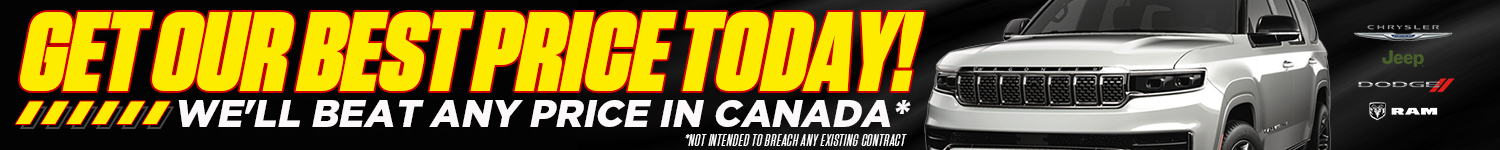 Model VDP Banner