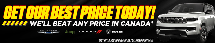 Model VDP Banner