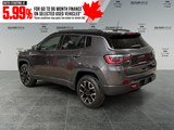 2021 Jeep Compass Trailhawk image 3