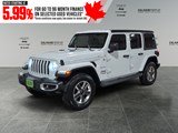 2020 Jeep Wrangler Unlimited Sahara image 1