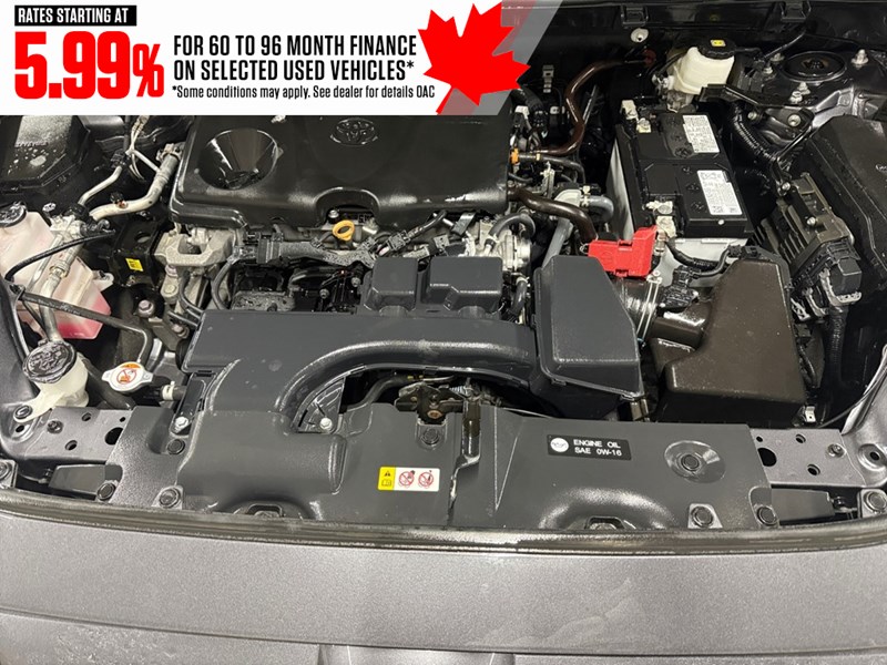 2024 Toyota RAV4 LE AWD