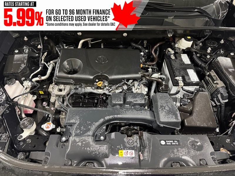 2023 Toyota RAV4 LE AWD