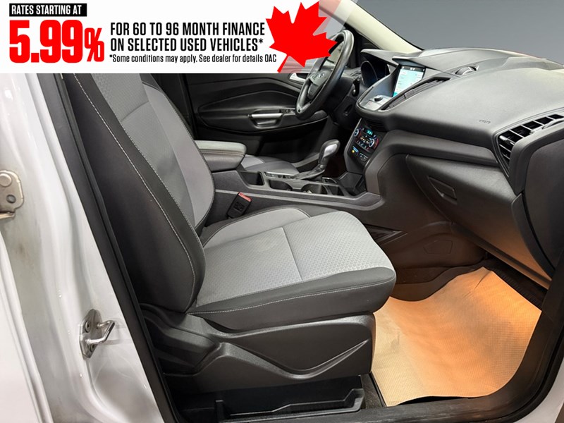 2019 Ford Escape SE 4WD