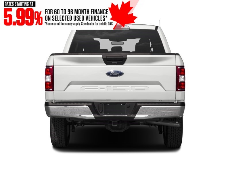 2019 Ford F-150 XLT 4WD SuperCrew 5.5' Box Exterior Shot 8