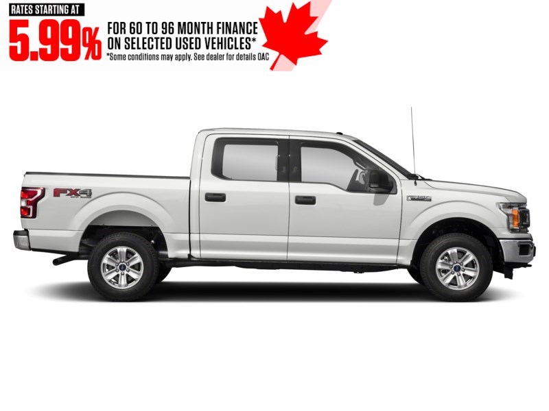2019 Ford F-150 XLT 4WD SuperCrew 5.5' Box Exterior Shot 11