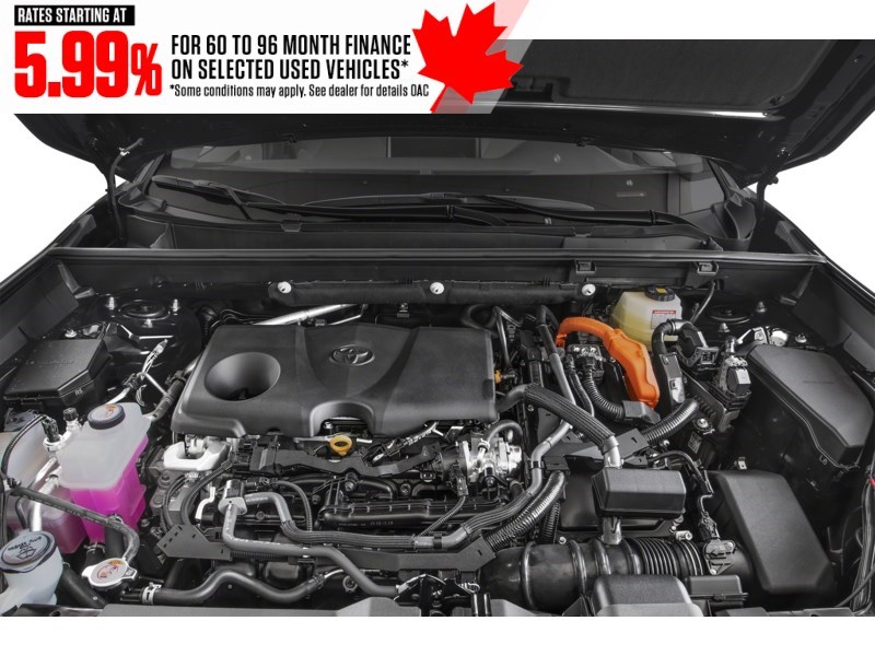 2024 Toyota RAV4 Hybrid Hybrid XLE AWD Exterior Shot 3