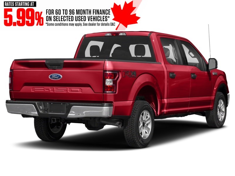 2019 Ford F-150 XLT 4WD SuperCrew 5.5' Box Race Red  Shot 6