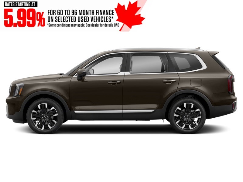 2023 Kia Telluride SX AWD Dark Moss  Shot 23