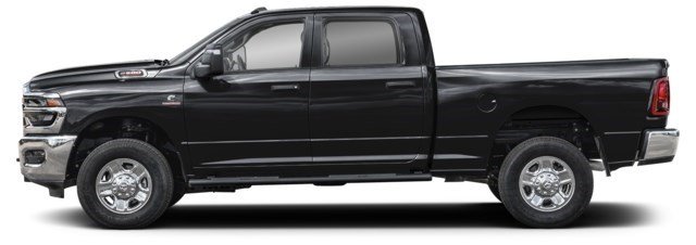 Black [Black]